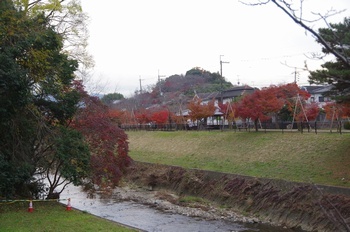 c삩OR