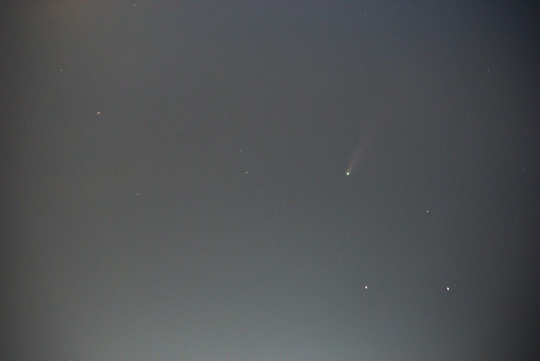ネオワイズ彗星(C/2020F3)