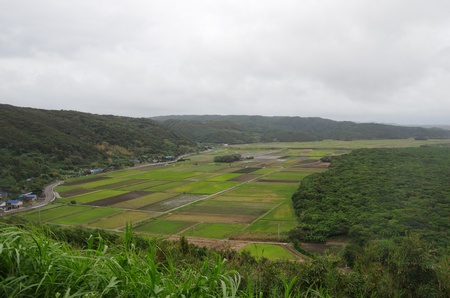 ���ϊ���