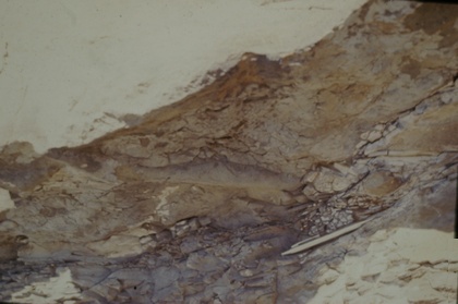 �O���[�u�J�X�g