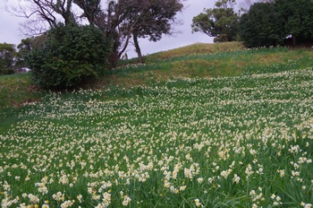 �z�O�� ����