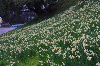 �z�O�� ����