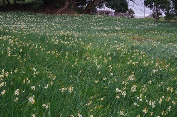 �z�O�� ����