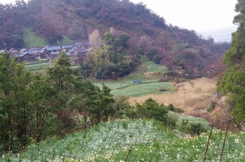 �z�O�����q����