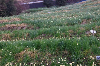 �z�O�����q���� ����