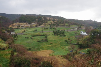 �z�O�����q���� ����