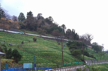 �z�O�����q���� ����