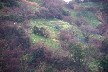 �z�O�����q��n ����