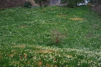 �z�O�����q��n ����