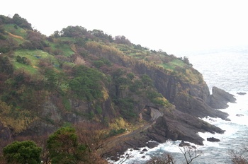 �z�O�����q��n �C��