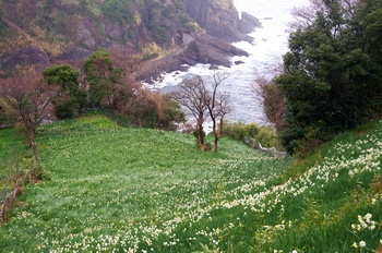 �z�O�����q��n ����