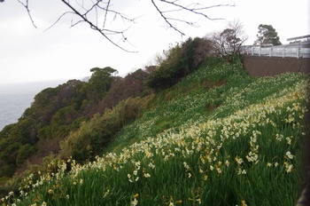 �z�O�����q��n ����