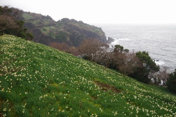 �z�O�����q��n ����