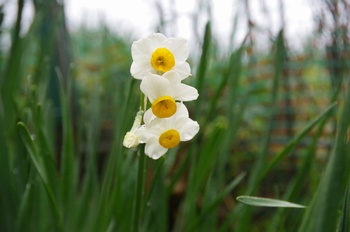 �z�O�����q��n ����