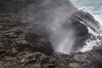 �z�O���K���l ��������