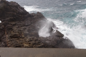 �z�O���K���l ��������