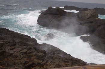 �z�O���K���l ��������