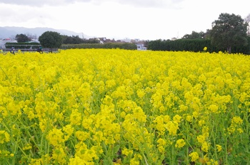 ������ �i�m�n�i