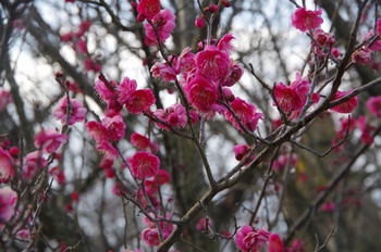 ������ �~