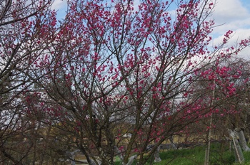 ������ �~