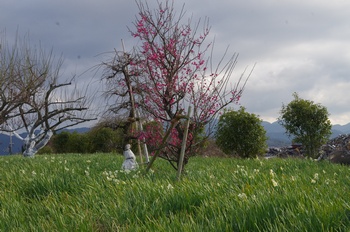 ������ ����Ɣ~