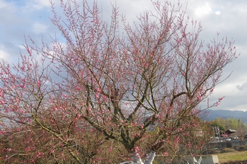 ������ �~