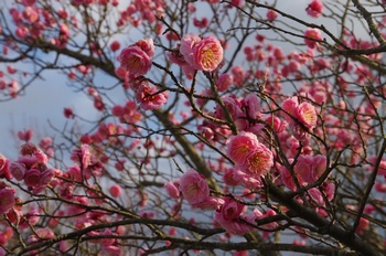 ������ �~