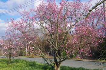 ������ �~