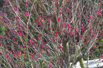 ������ �~