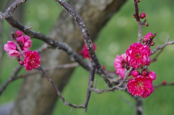 ������ �~