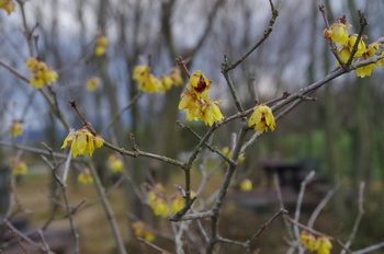 ������ ���E�o�C