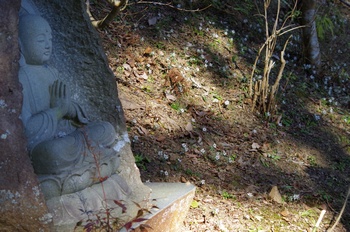 �Č��s��v�� �Ε��Ɛߕ���