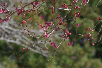 �Č��s��v�� �~