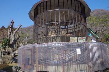 ���̎s�������������