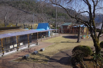 ���̎s�������������