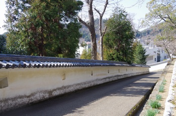 ���̎s�������