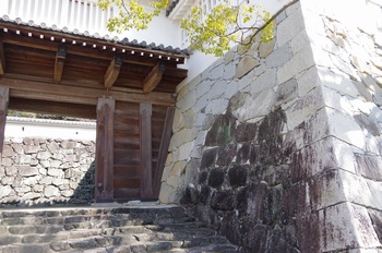 ���̎s����� ���