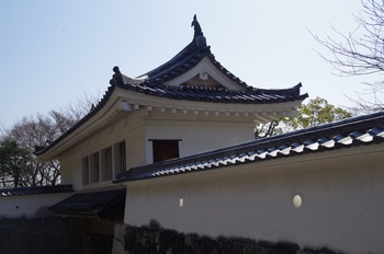 ���̎s����� ���E