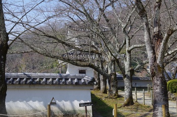 ������a ���E