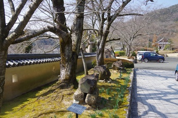 ���̎s ���j���������� �萅��