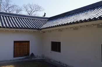 ���̎s ����E