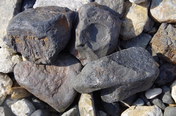 ���̌�ÊC�� �]�� �z��