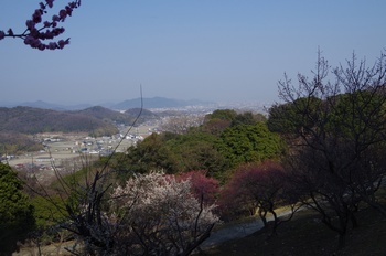 ���̎s�~���� �i�F