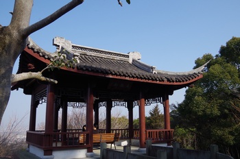 ���̎s�~���� ���ߌ�