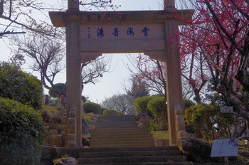 ���̎s���E�~���� ��C������