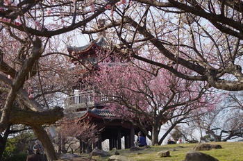 ���̎s�~���� �~