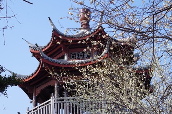 ���̎s�~���� ���~�t