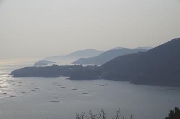 ���̎s�~���� �C