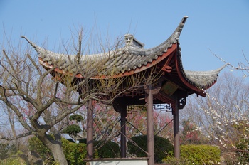 ���̎s�~���� ���q���