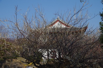 ���̎s�~���� �q�~��